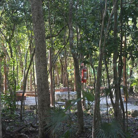 Glamping Mayan Glam Tulum Eksteriør bilde