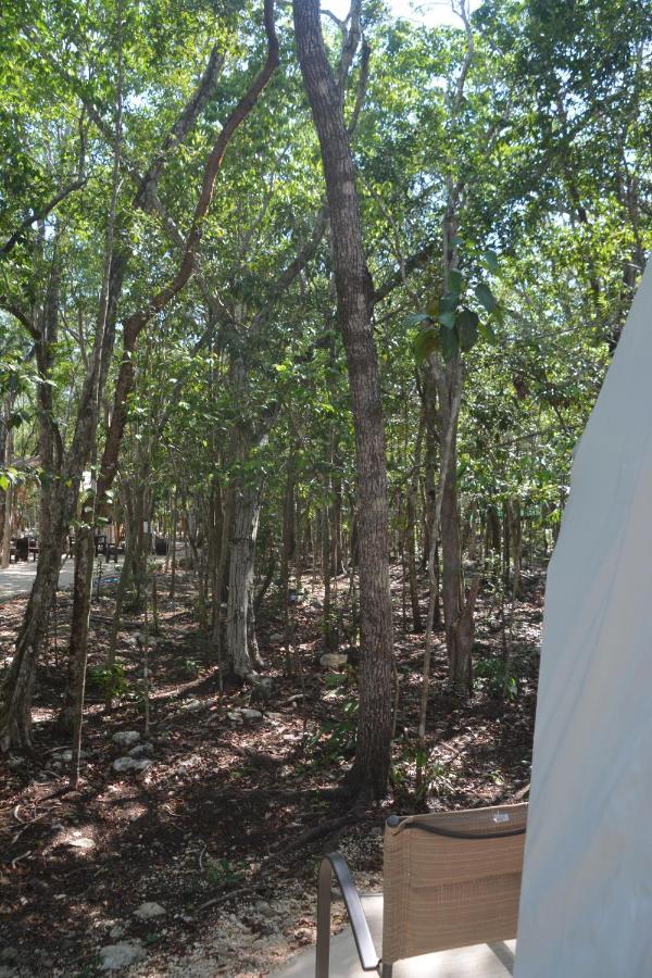 Glamping Mayan Glam Tulum Eksteriør bilde