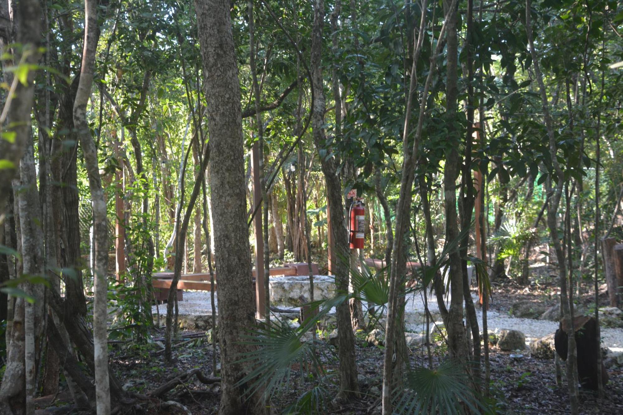 Glamping Mayan Glam Tulum Eksteriør bilde